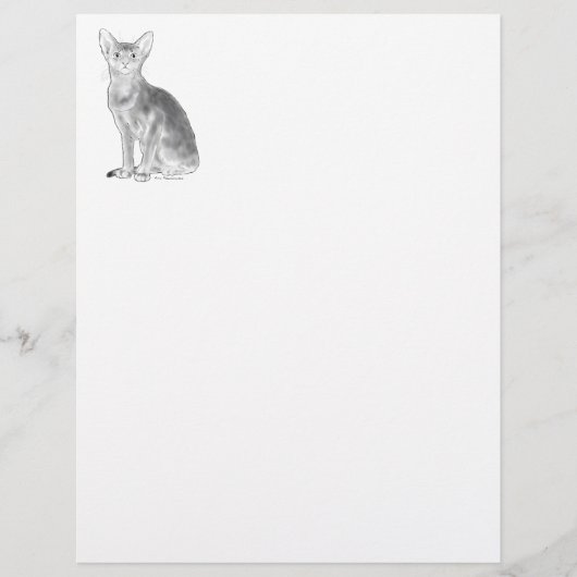 Black and White Aby (Front)