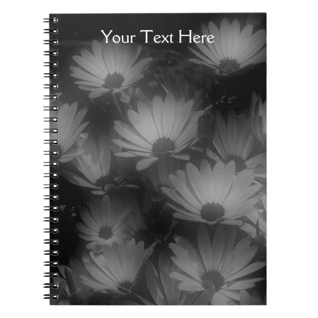 Black And White African Daisy Flowers Notebook (Front)