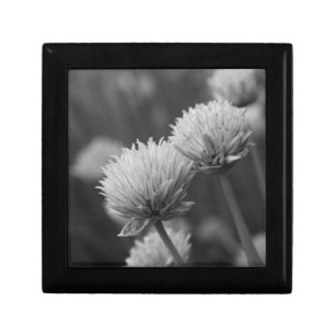 Black And White Allium Flower Jewelry Box
