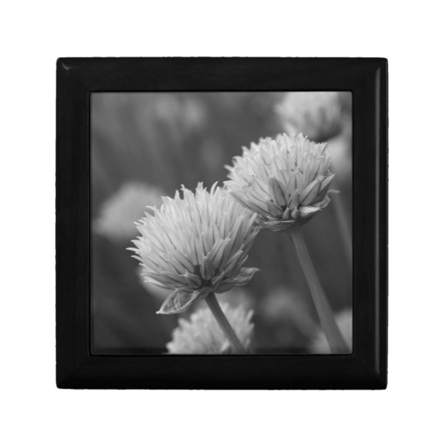 Black And White Allium Flower Jewelry Box (Front)