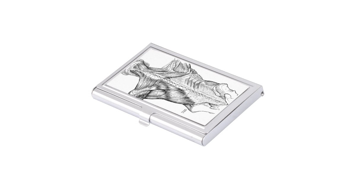 Black and White Anatomy Art Back Muscles (1890) Business Card Case | Zazzle
