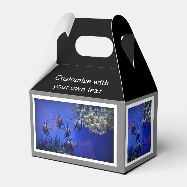 Black and White Angelfish in Deep Blue Sea Favor Boxes (Front Side)