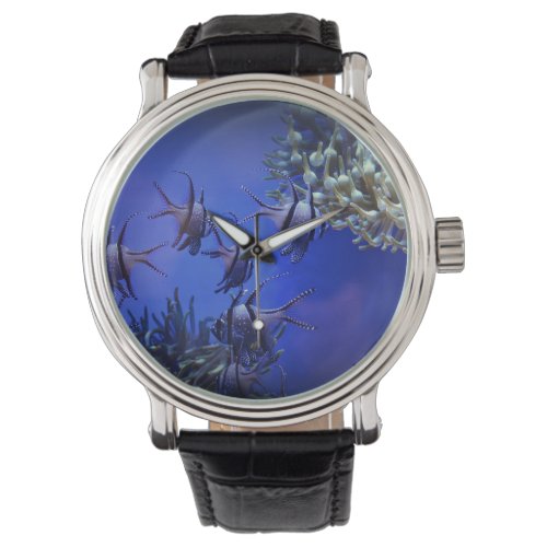 Black and White Angelfish in Deep Blue Sea Watch