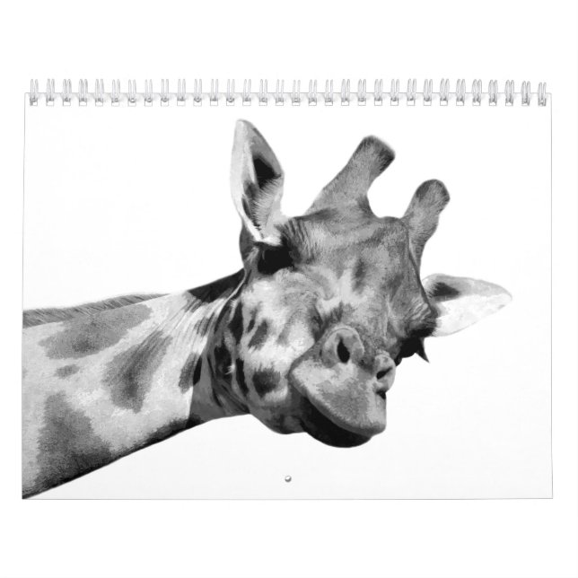 Black and White Animals Calendar (Cover)