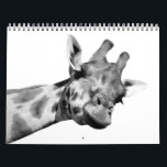 Black and White Animals Calendar<br><div class="desc">Black and white animals portrait. A range of modern photography design,  watercolor effect,  for animal lovers. Giraffe,  bear,  owl,  deer,  elephant,  tiger,  zebra,  kangaroo,  lion,  capricorn,  gorilla,  panda.</div>