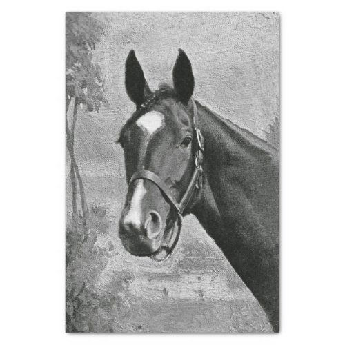 Black and White Antique Vintage Horse Illustration Tissue Paper