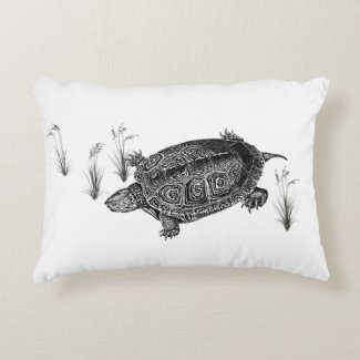 Black and White Aquatic Turtle