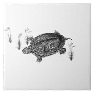 Black and White Aquatic Turtle Ceramic Tile