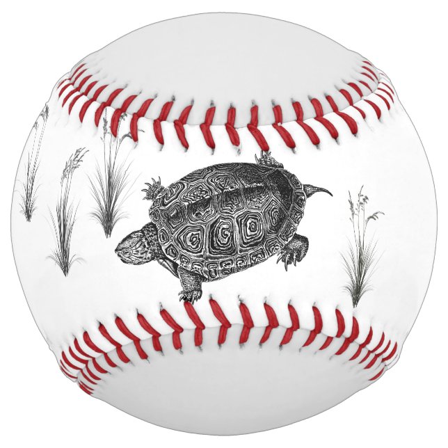 Black and White Aquatic Turtle Softball (Front)