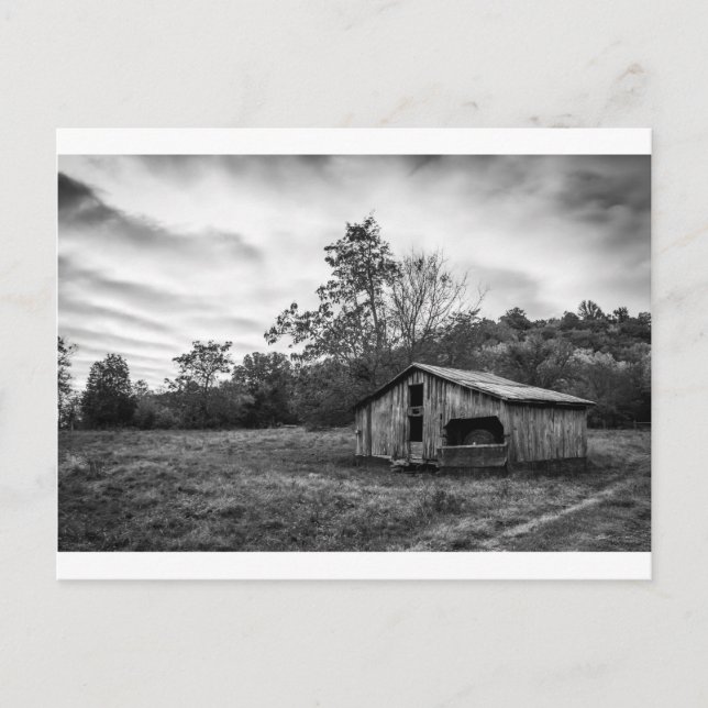 Black and White at Dawn Postcard (Front)