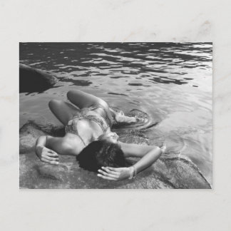 Black and White at the River Postcard