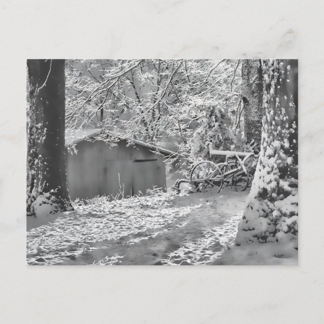 Black and White Backlit Rural Snow Scene Postcard (Front)