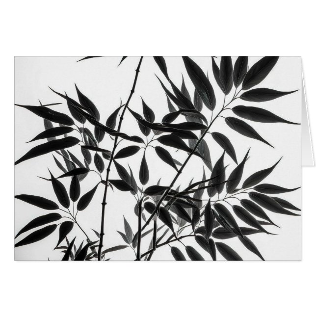 Black and White Bamboo Plant Blank inside Cards (Front Horizontal)