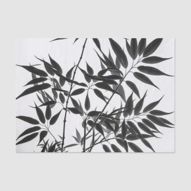 Black and White Bamboo Plant Tissue Paper (Front)