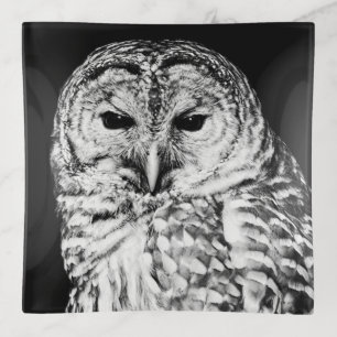 Black and White Barred Owl Face Bird Photo Trinket Tray