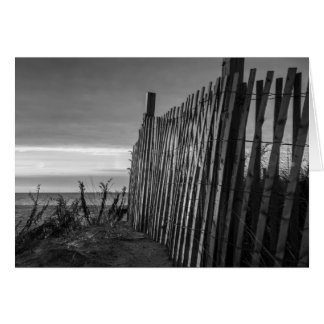 Black and White Beach Fence