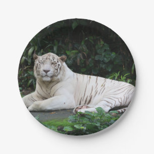 Black and White Bengal Tiger relaxed and smiling Paper Plates