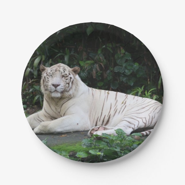 Black and White Bengal Tiger relaxed and smiling Paper Plates (Front)
