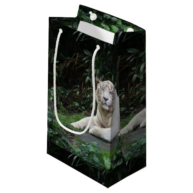 Black and White Bengal Tiger relaxed and smiling Small Gift Bag (Front Angled)