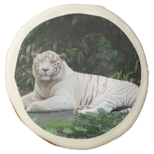Black and White Bengal Tiger relaxed and smiling Sugar Cookie