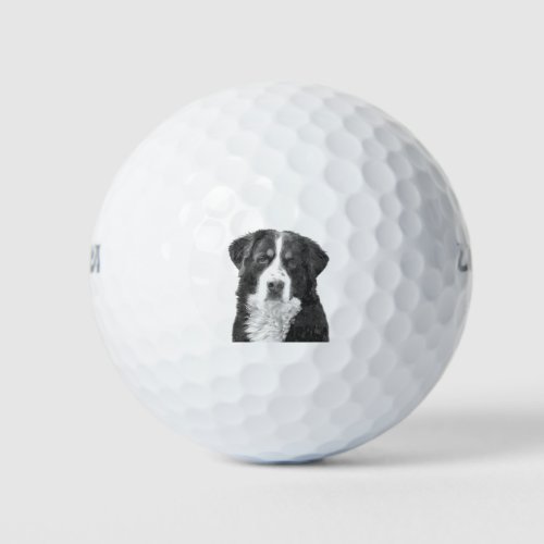 Black and White Bernese Mountain Dog Portrait Golf Balls