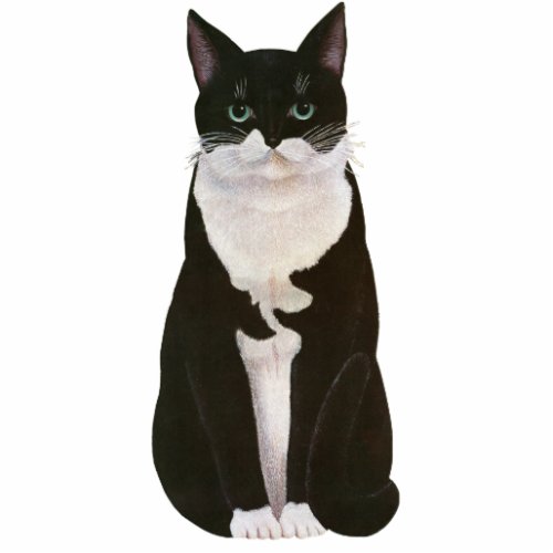 Black and white bicolor cat _ Old illustration Cutout