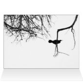 Black and White Bird Card (Inside Horizontal (Top))