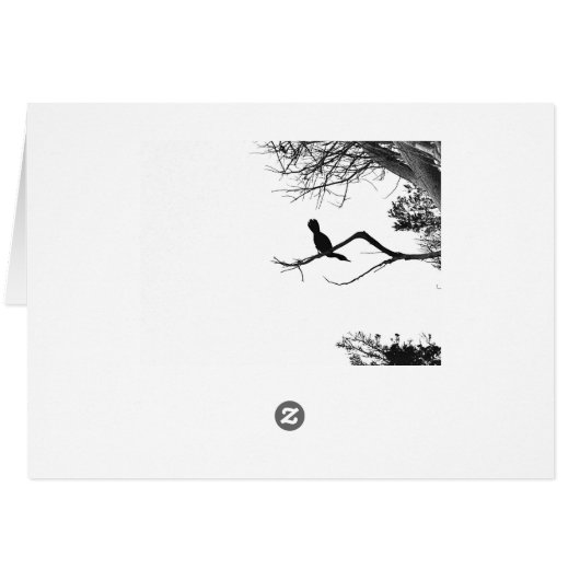 Black and White Bird Card (Back Horizontal)