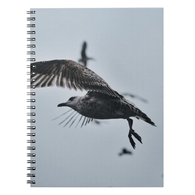 BLACK AND WHITE BIRD NOTEBOOK (Front)