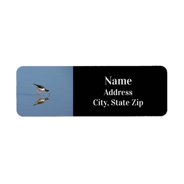 Black and White Bird Photo Blue Water Beach Animal Label (Front)