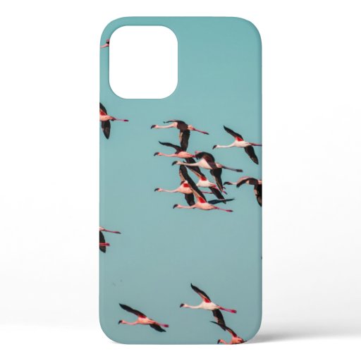 BLACK AND WHITE BIRDS iPhone 12 CASE