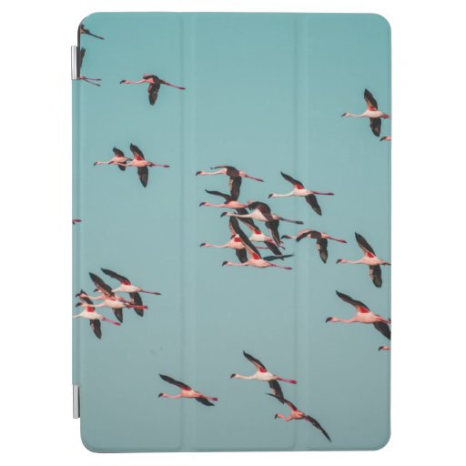 BLACK AND WHITE BIRDS iPad AIR COVER
