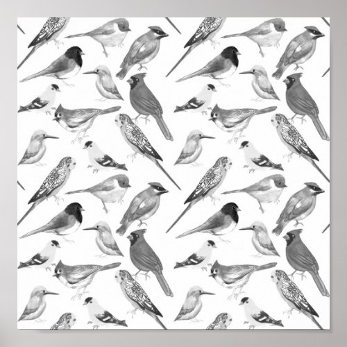 Black and white birds poster