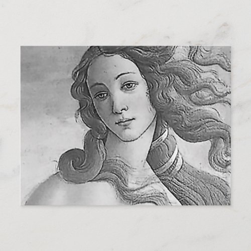 Black and White _ Birh of Venus Goddess Postcard