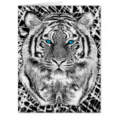Black And White Blue Eyes Tiger design (Front)