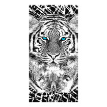 Black And White Blue Eyes Tiger Graphic Card