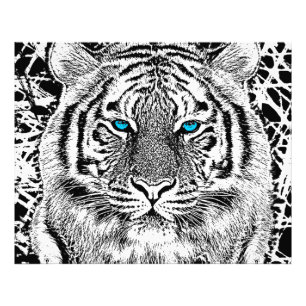 Black And White Blue Eyes Tiger Graphic Photo Print