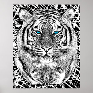 Black And White Blue Eyes Tiger Graphic Poster