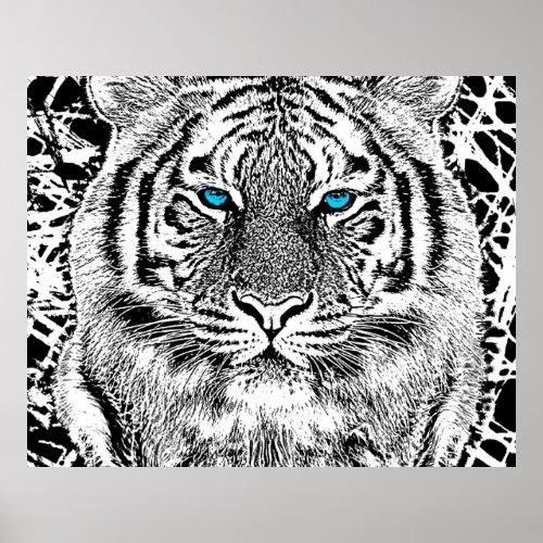 Black And White Blue Eyes Tiger Graphic Poster