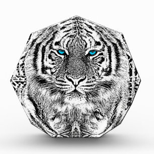 Black And White Blue Eyes wild Tiger face Award