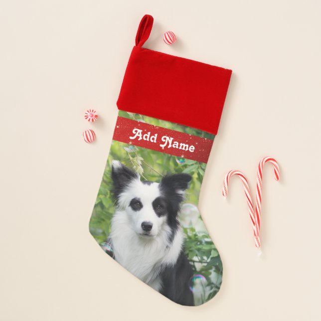 Black and White Boarder Collie Puppy Dog Christmas Stocking (Front)
