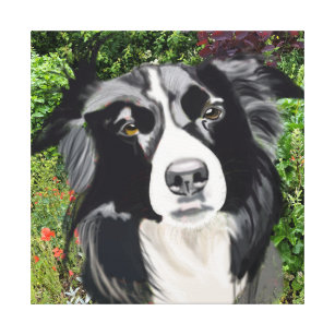 Black and White Border Collie against Flowers  Canvas Print