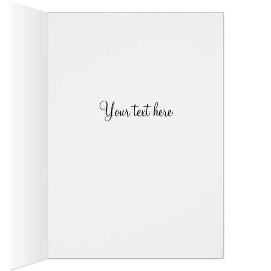 Black and White Border Collie Dog (Inside (Right))