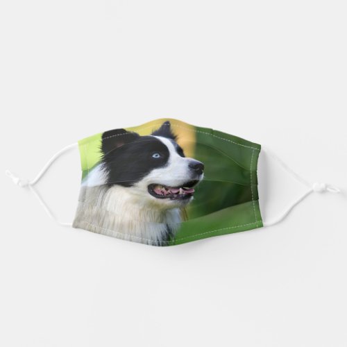 Black and White Border Collie Dog Adult Cloth Face Mask