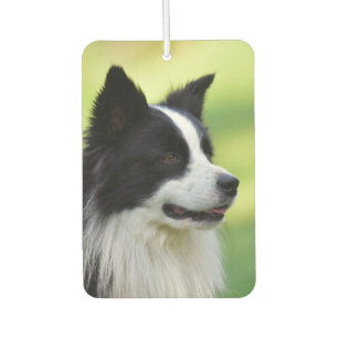 Black and White Border Collie Dog Air Freshener