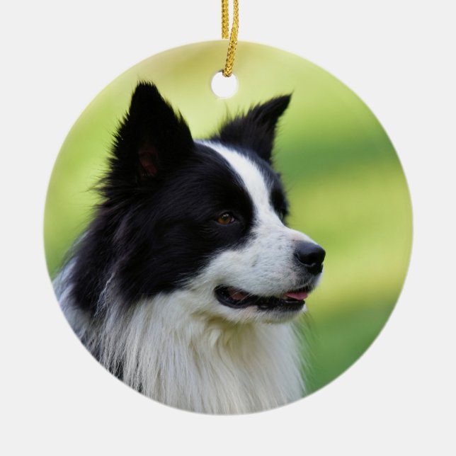 Black and White Border Collie Dog Ceramic Ornament (Front)