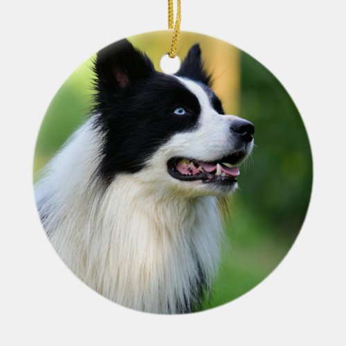 Black and White Border Collie Dog Ceramic Ornament