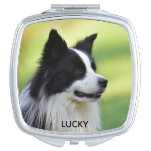 Black and White Border Collie Dog Compact Mirror