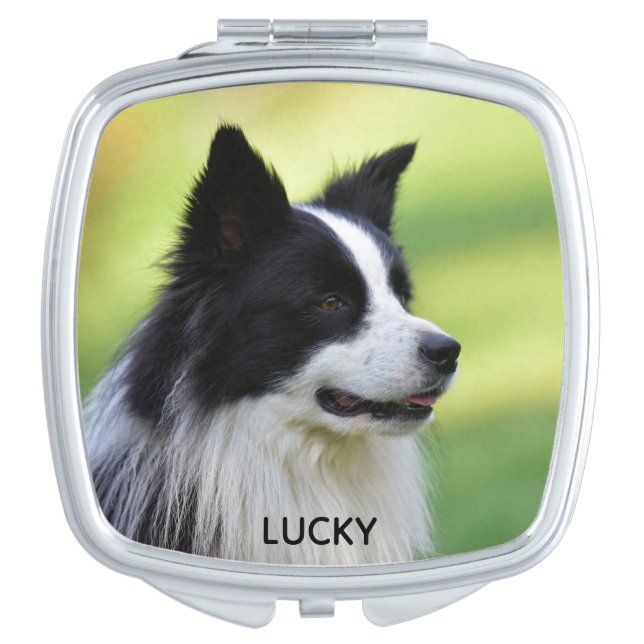 Black and White Border Collie Dog Compact Mirror (Front)