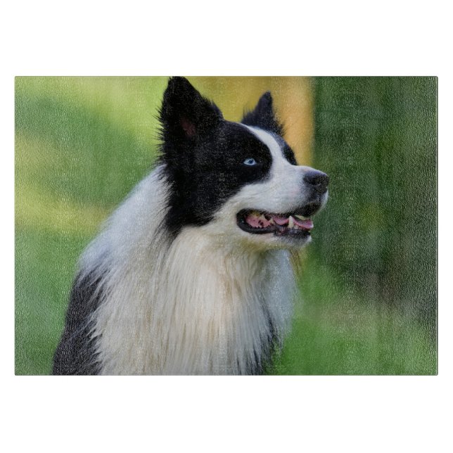 Black and White Border Collie Dog Cutting Board (Front)